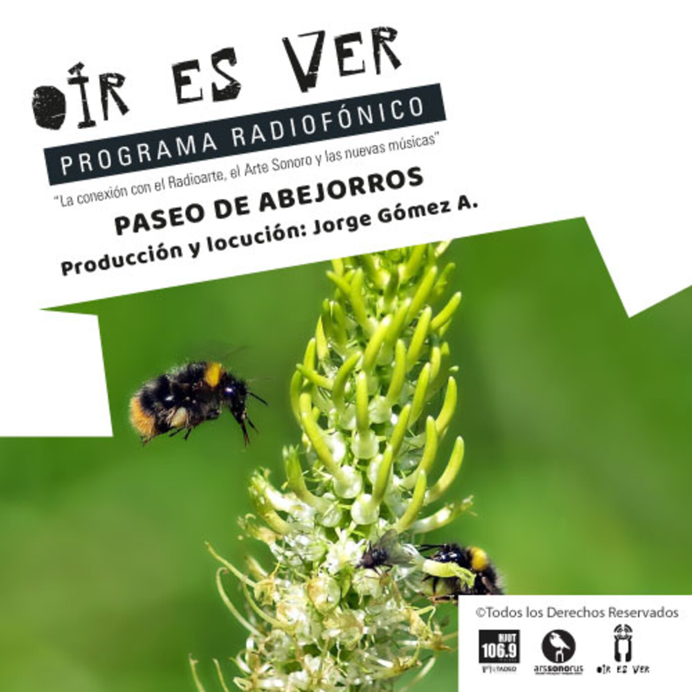 OIR ES VER