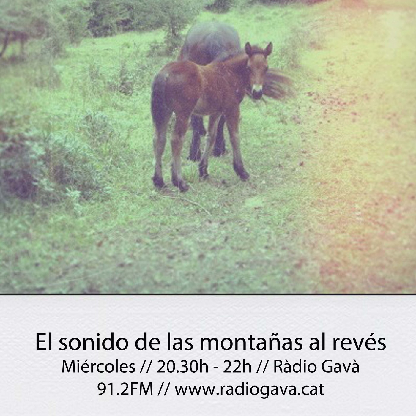 El sonido de las montañas al revés -- Programa 20.07.2016 episode artwork