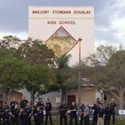 embed image