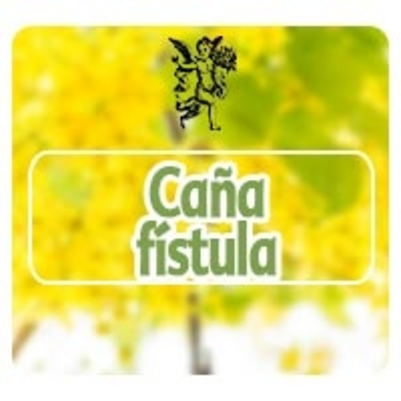 El Ángel de tu Salud - CAÑA FÍSTULA* episode artwork