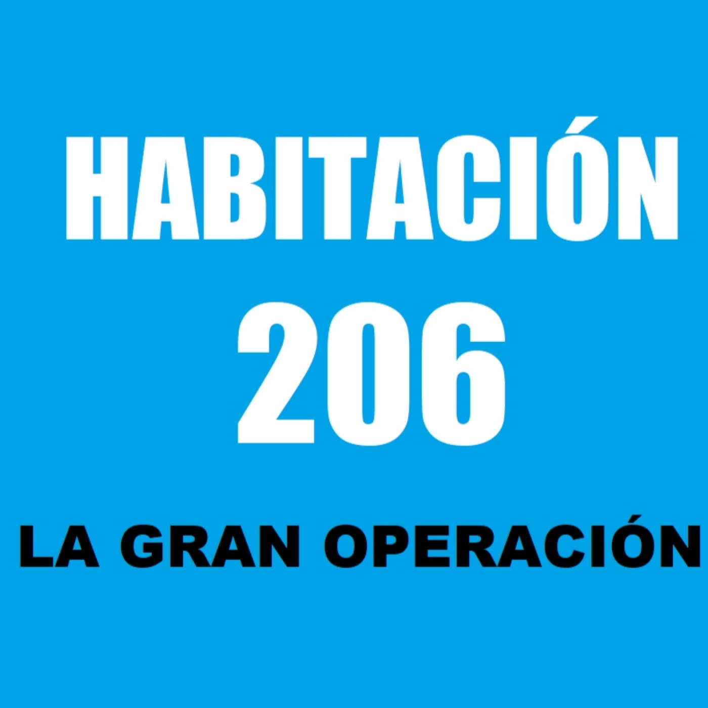 Habitación 206