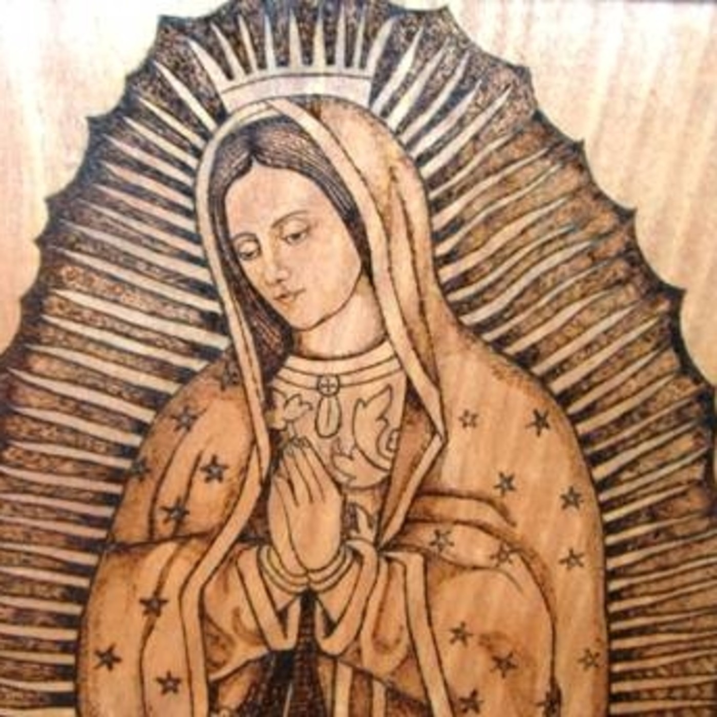 MANTO DE LA VIRGEN. MEDITACIÓN VIRTUDES