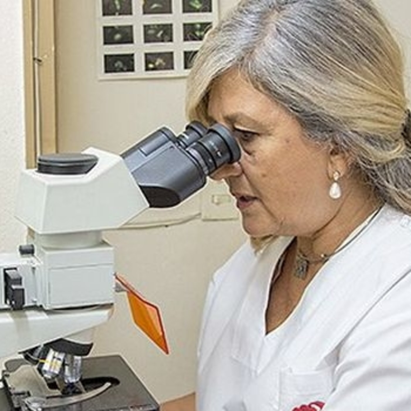 Podcast Comunitario Sayhueque