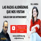 Las Razas Alienígenas que nos visitan: cuáles son sus intenciones? por Sol Ahimsa