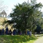 Arboles junteros