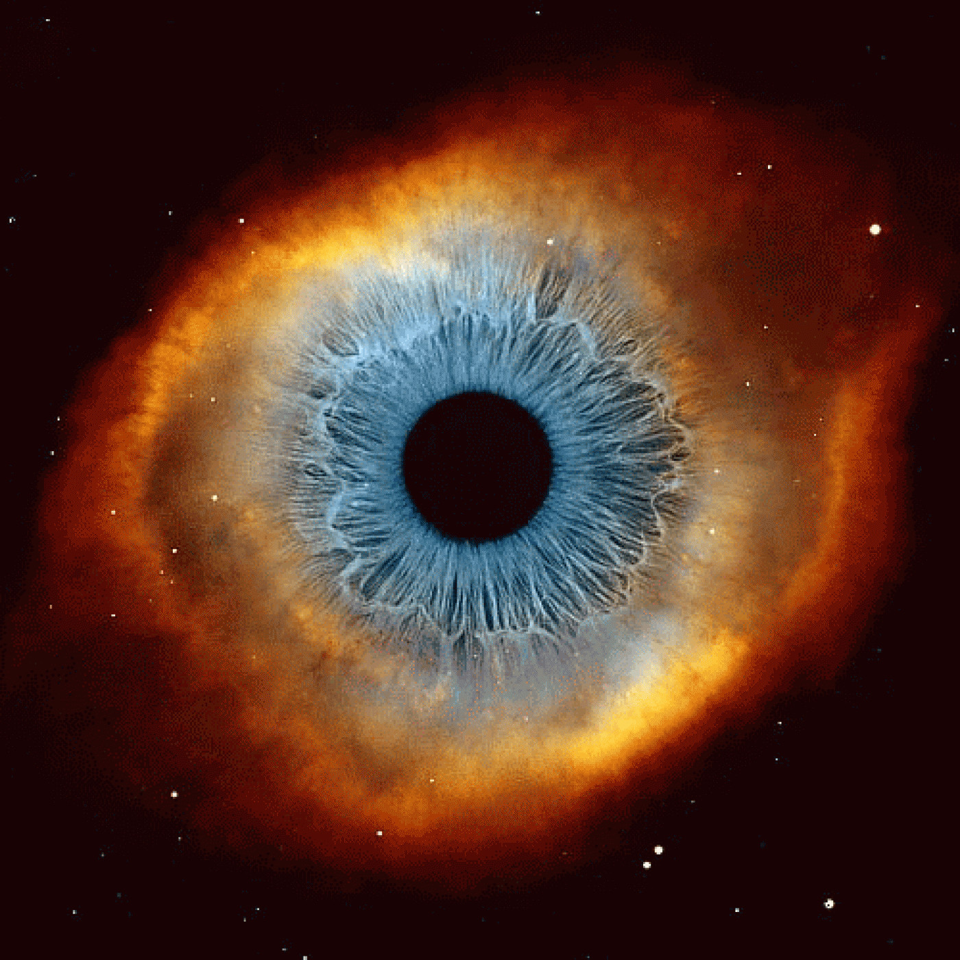 Audio Poemas de Tere Matthews