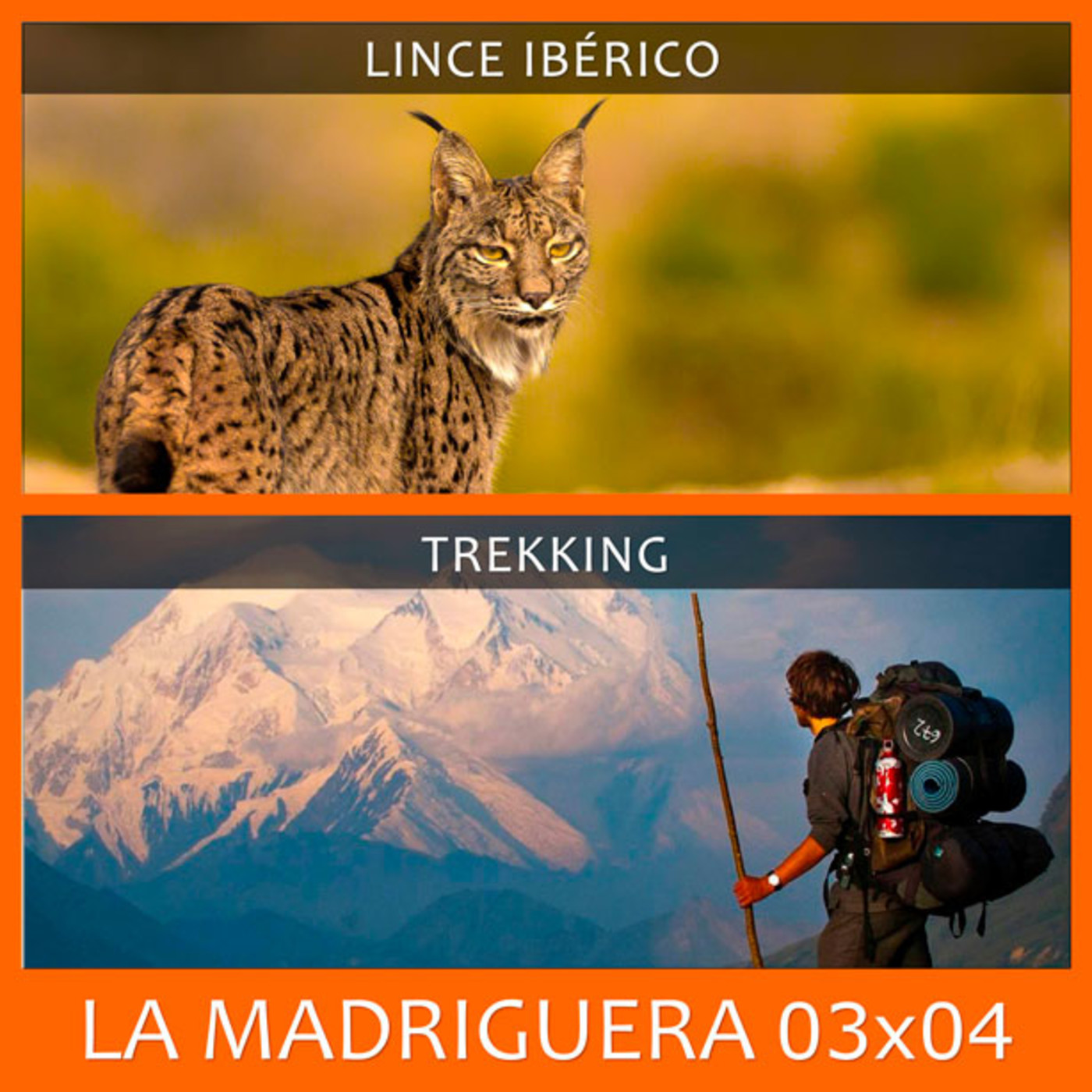 LA MADRIGUERA