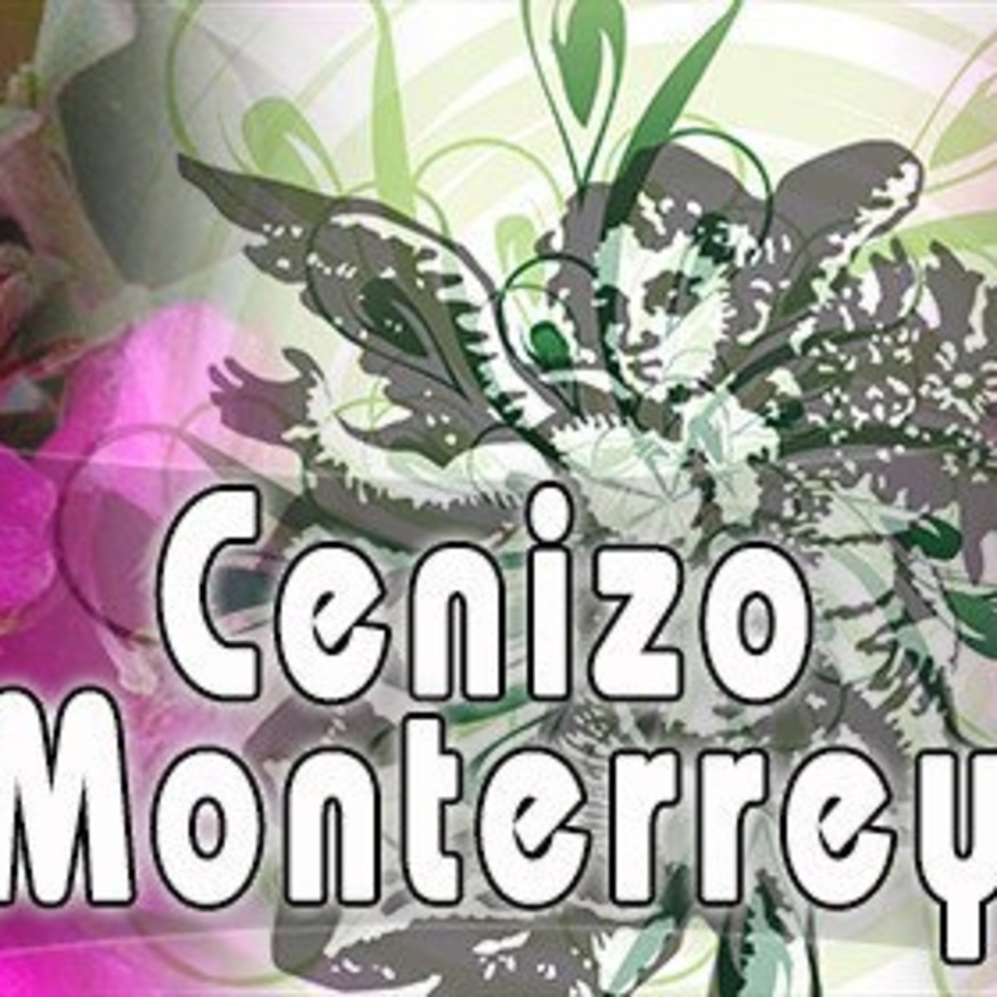 El Ángel de tu Salud - CENIZO DE MONTERREY II