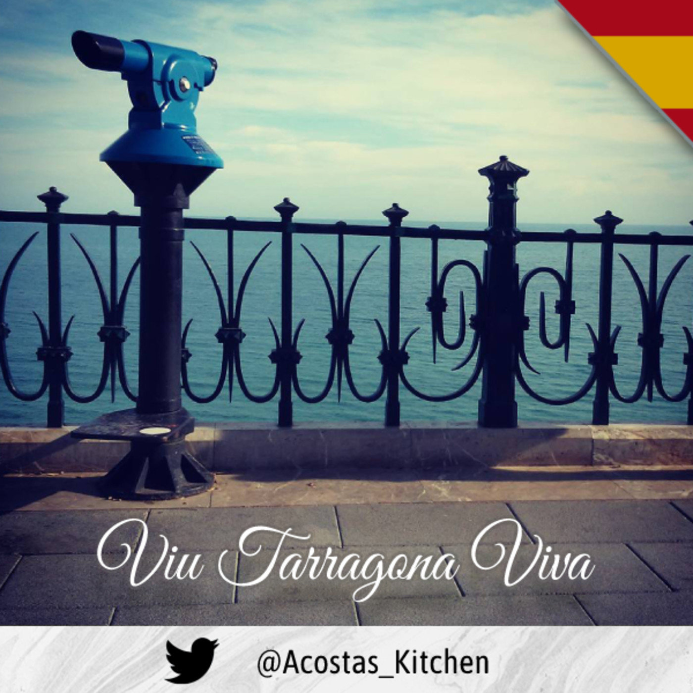 Presentación programa Viu Tarragona Viva