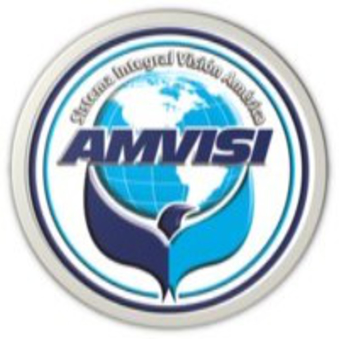 AMVISI Sistema Integral Visiòn Amèrica
