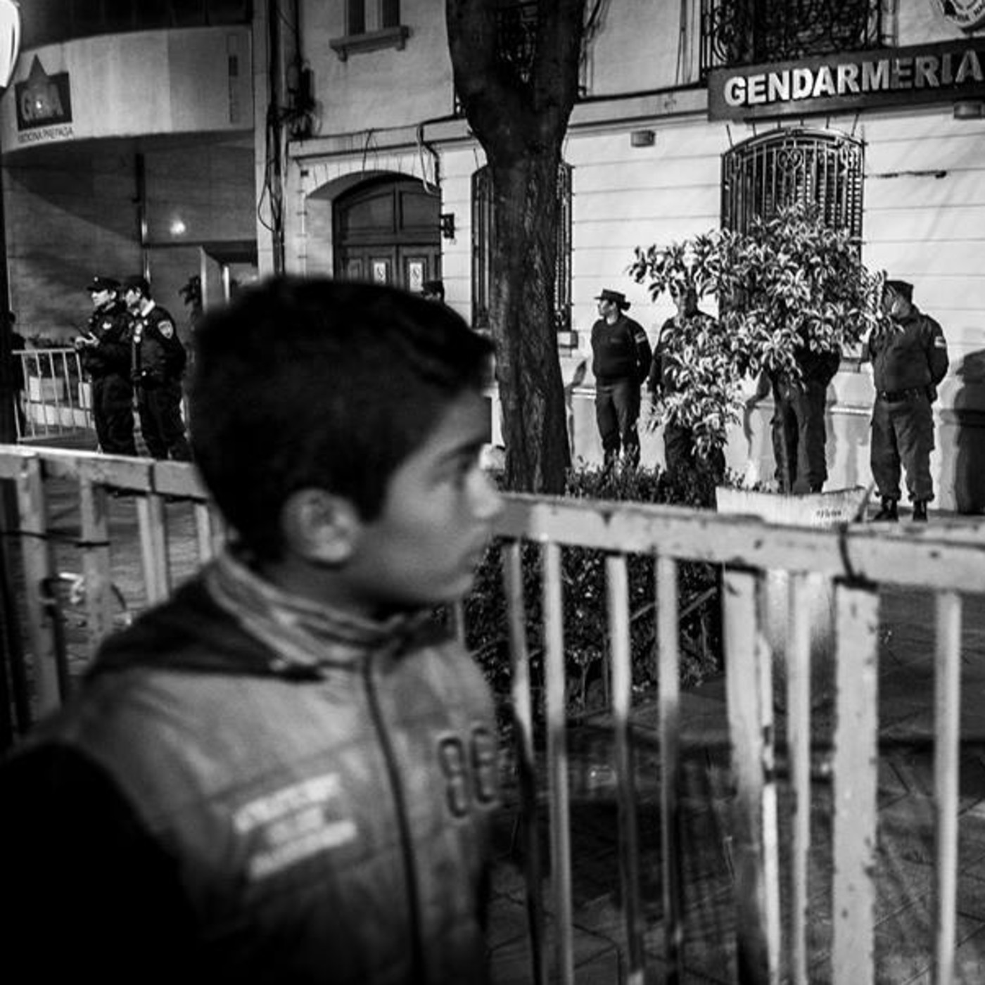 El Chancho Y La Maceta