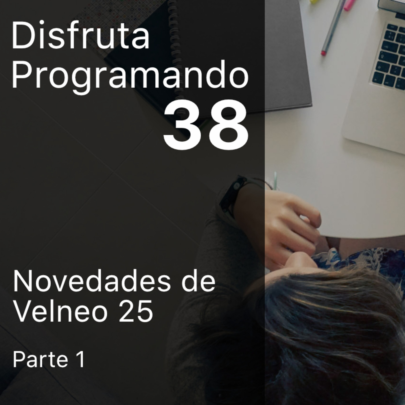 Disfruta Programando