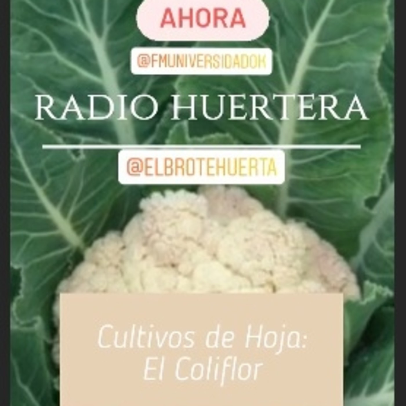 Radio Huertera con Favio Reano - Cultivo de hojas - Tercera Parte
