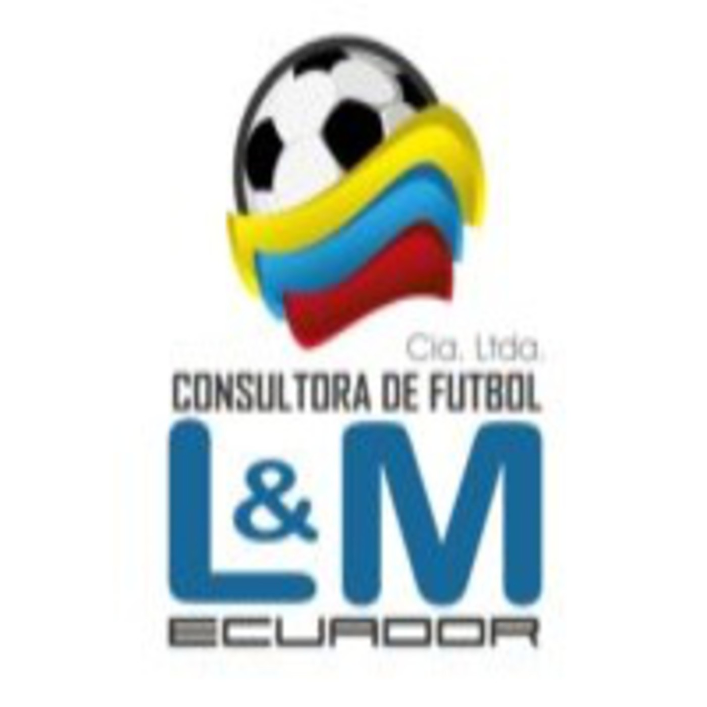 Consultora de Futbol L&M Cia Ltda