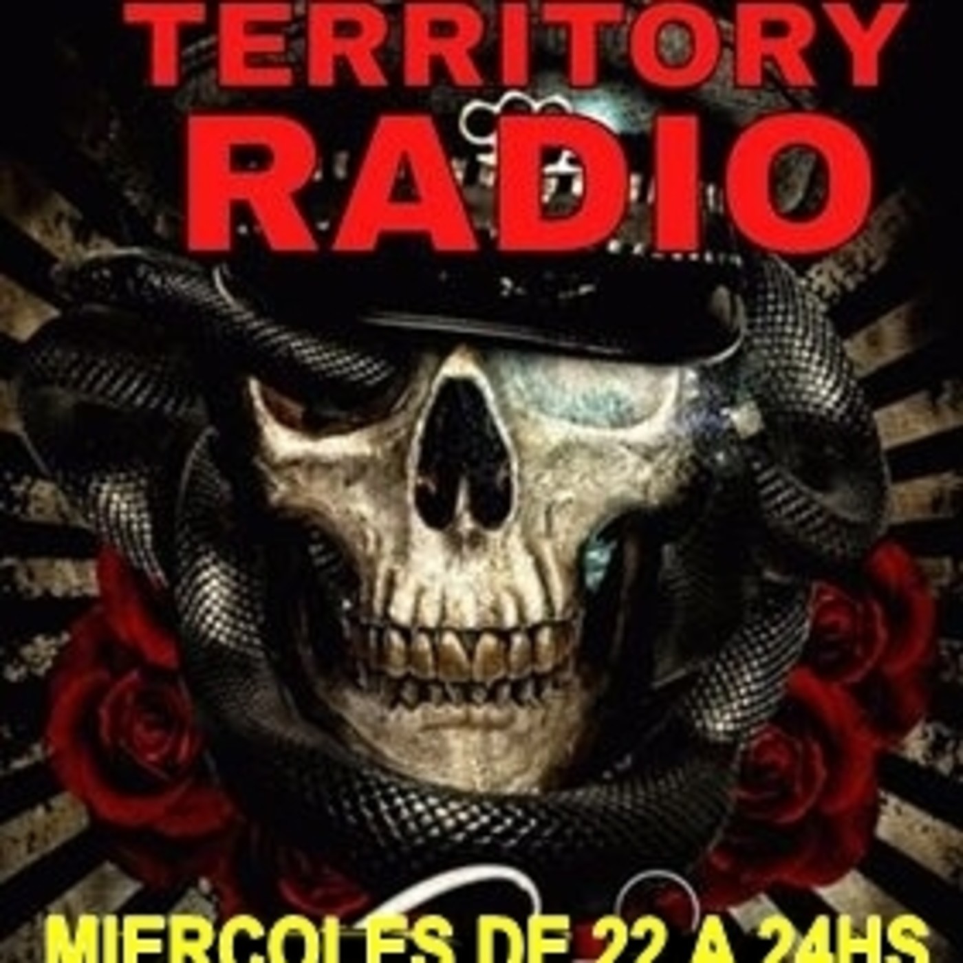 TERRITORY RADIO 108 (22-02-2017) GRAMATICA "LOS VIOLADORES" episode artwork