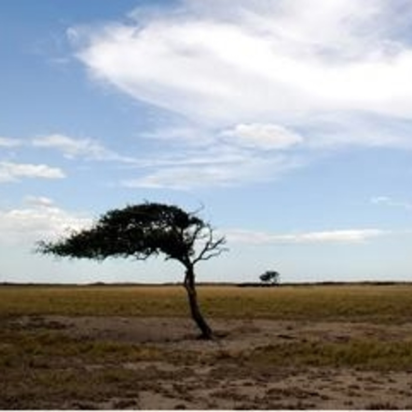 Viento del sur