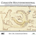 Curación Multidimensional: Conexión entre los órganos físicos y las emociones.