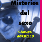TONDI Misterios del sexo. Vol. 24 "Por que nos atraen los malotes?".