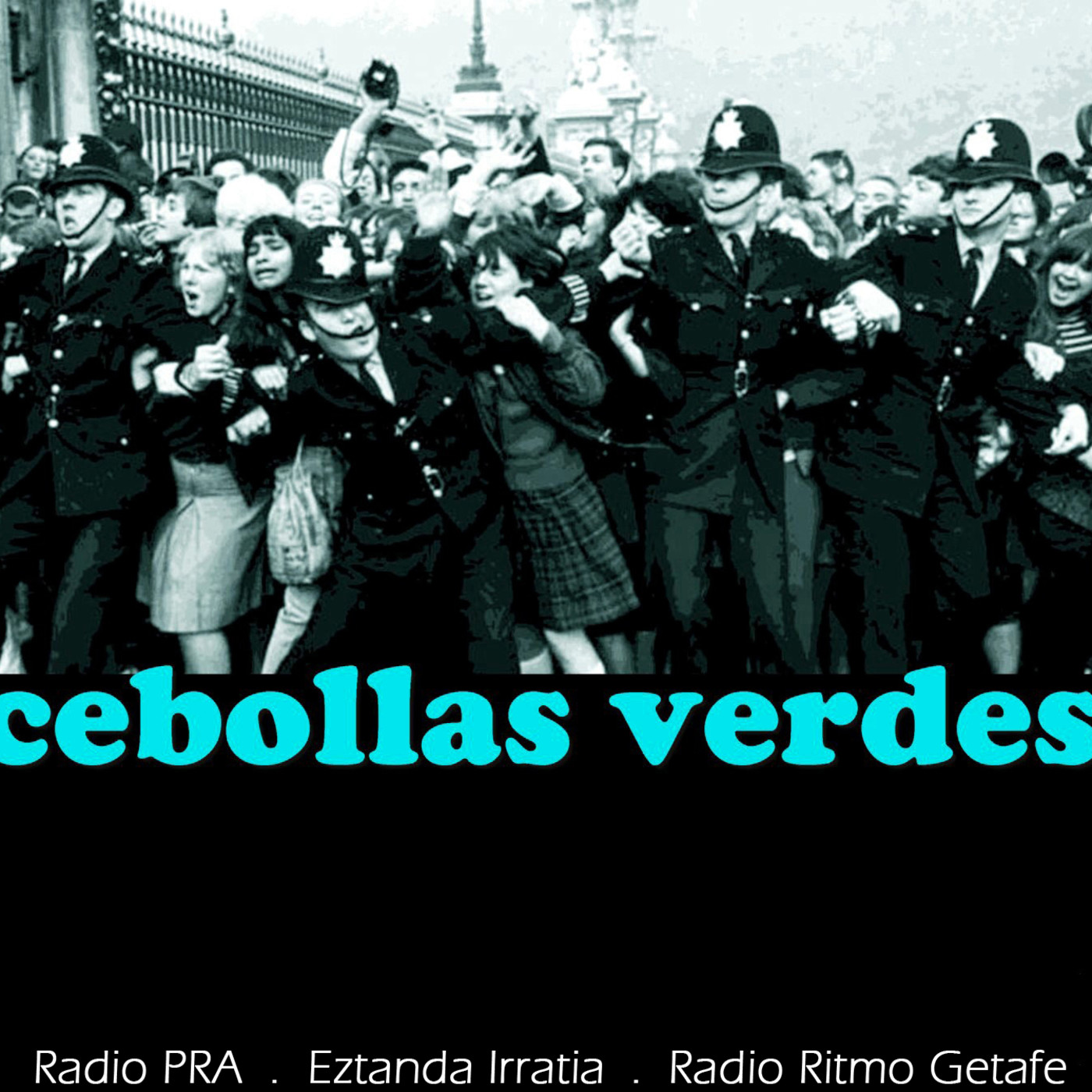Cebollas Verdes