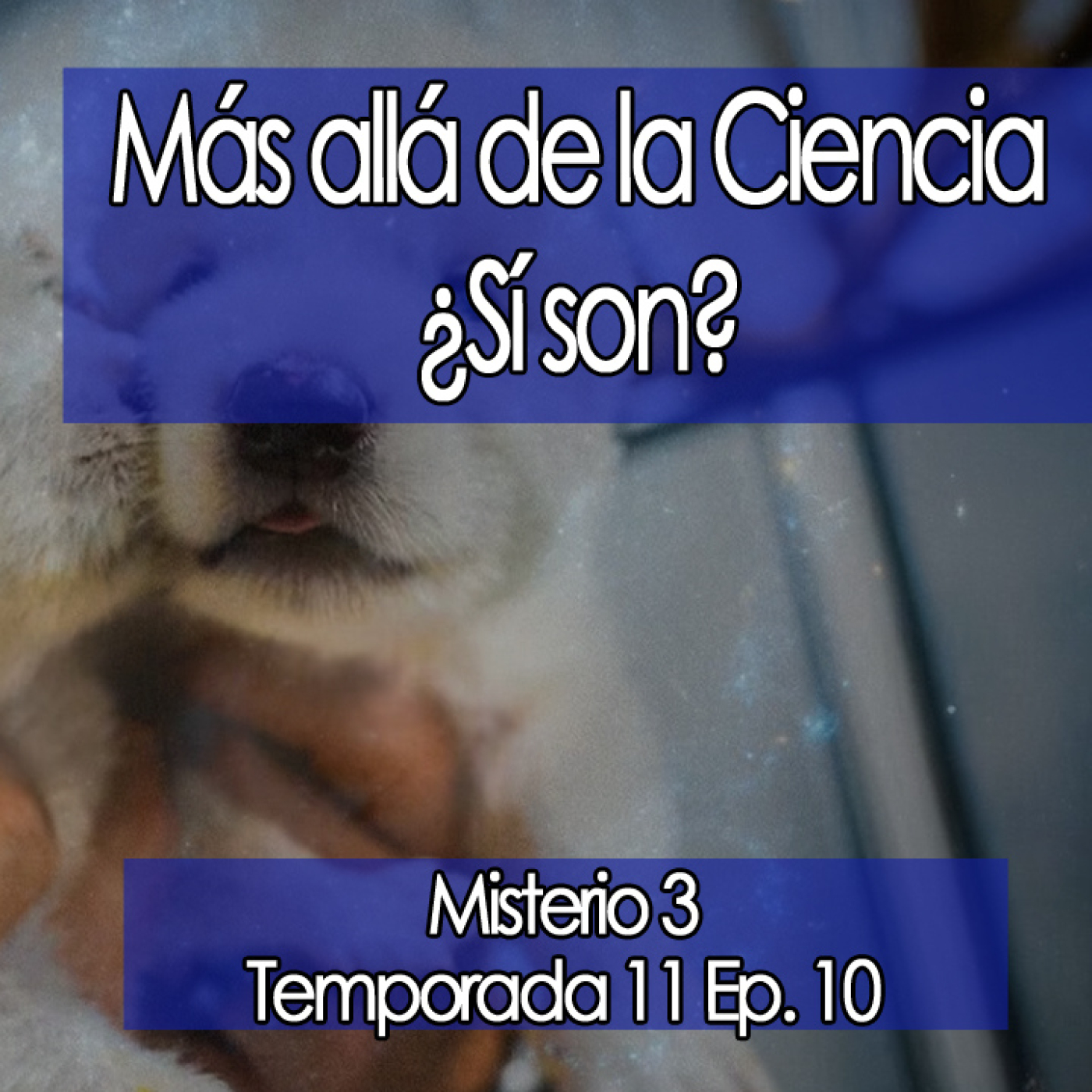 Misterio 3 Temporada 4