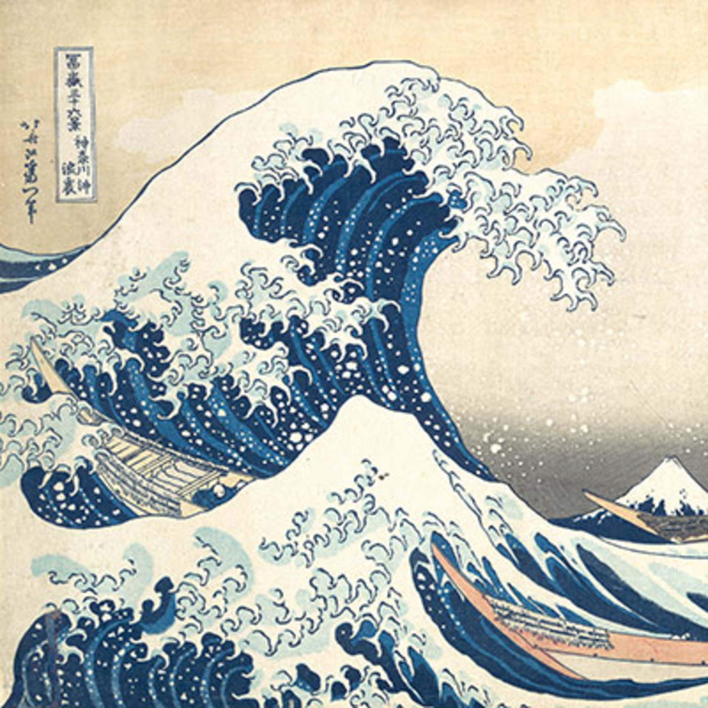 Kinoko Power -Japón-