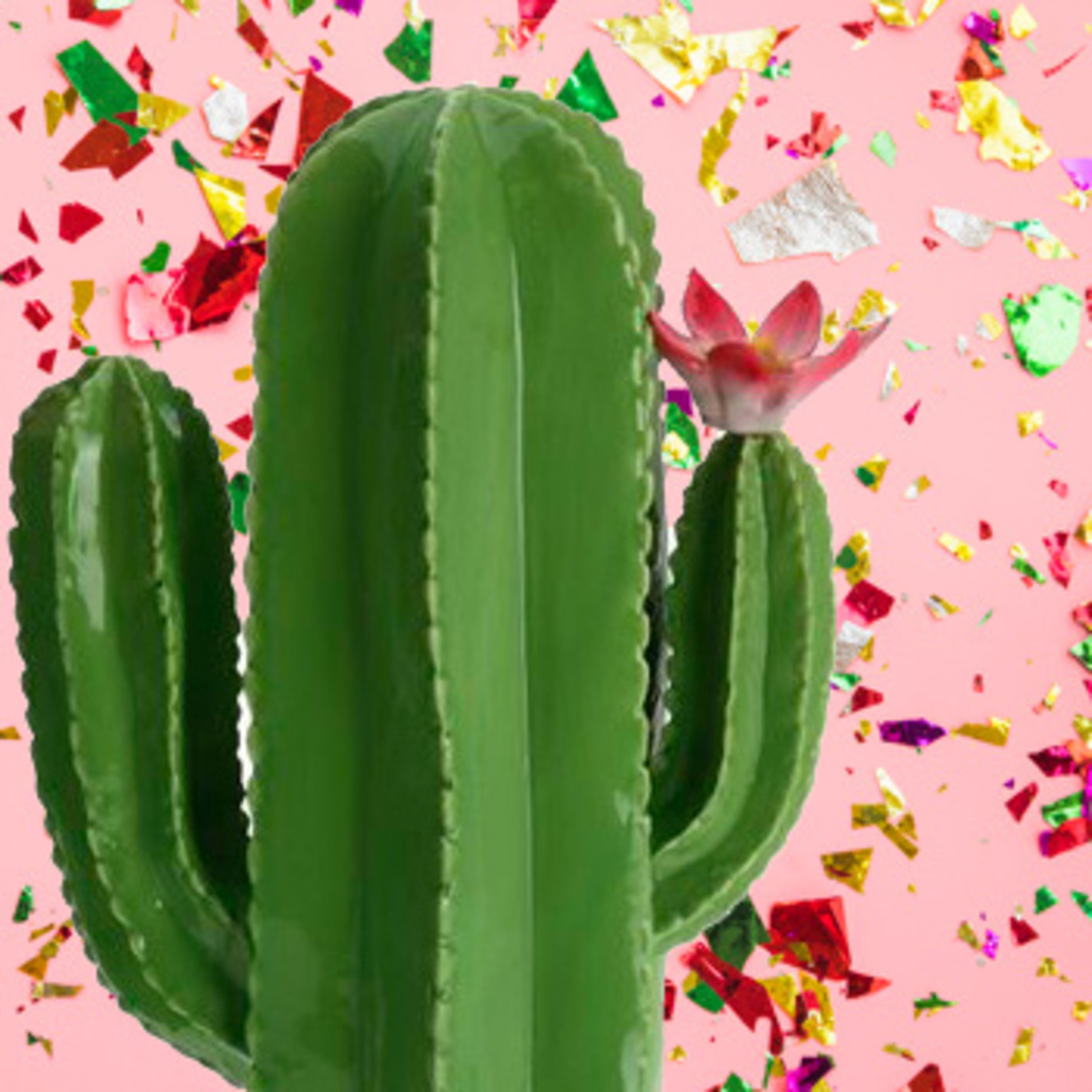 Cactus Confetti