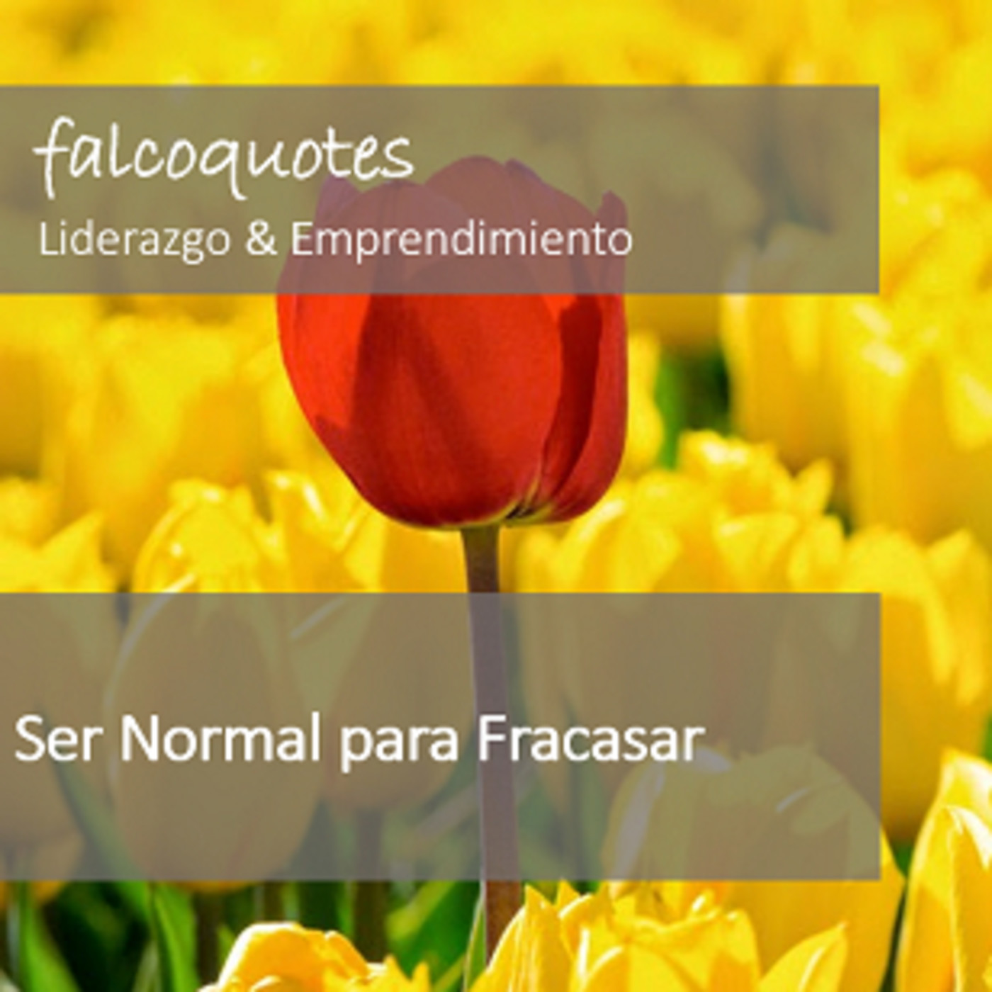 Falcoquotes: Emprendimiento Y Liderazgo