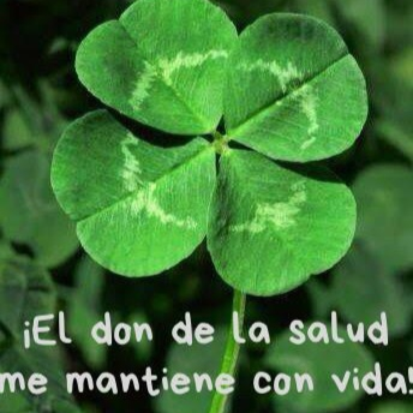 La gratitud atrae felicidad