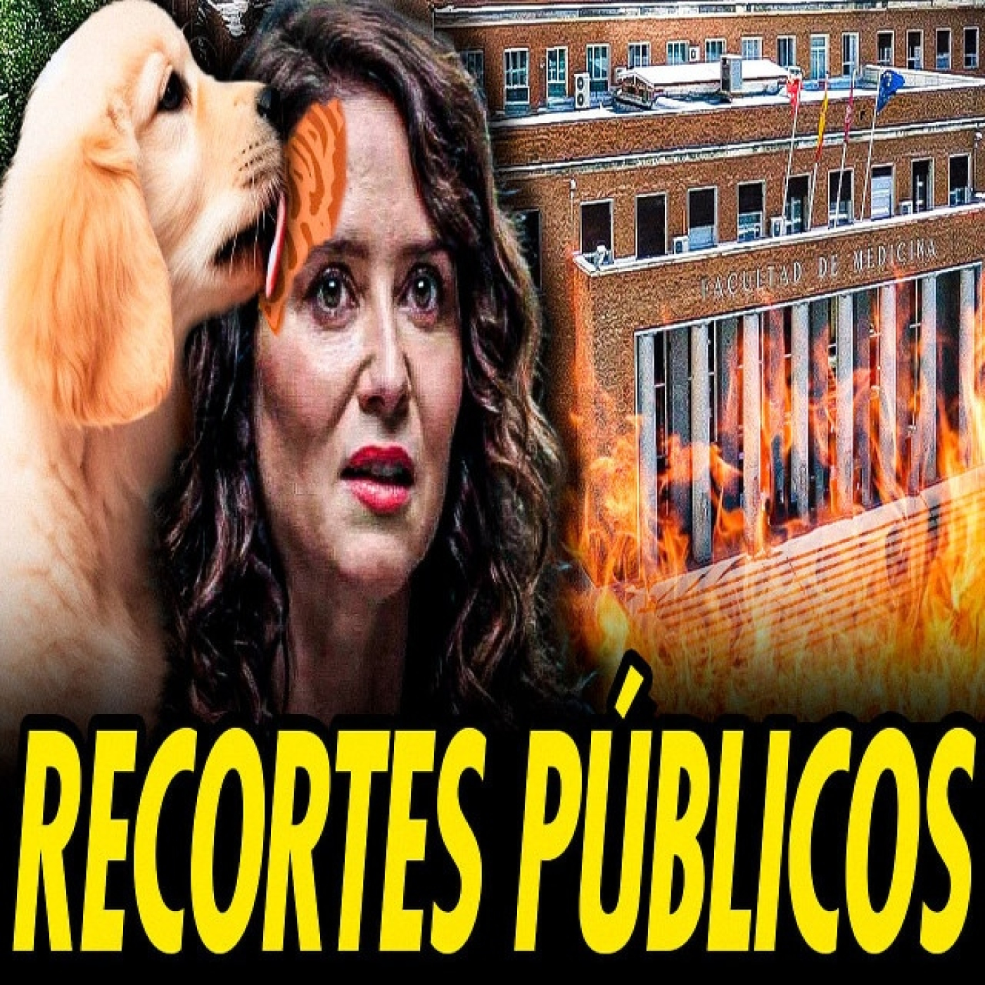 Ayuso se pone paté en la frente para hacer recortes