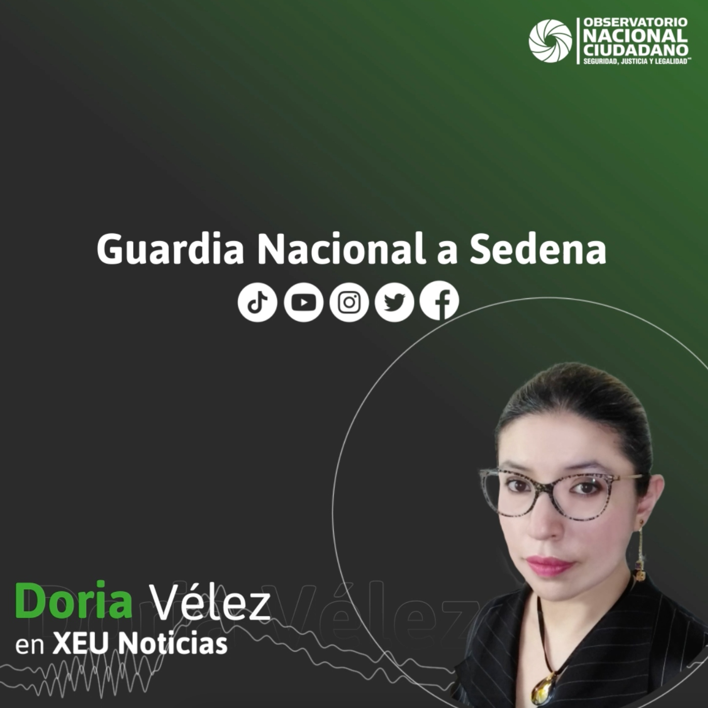 Observatorio Nacional Ciudadano
