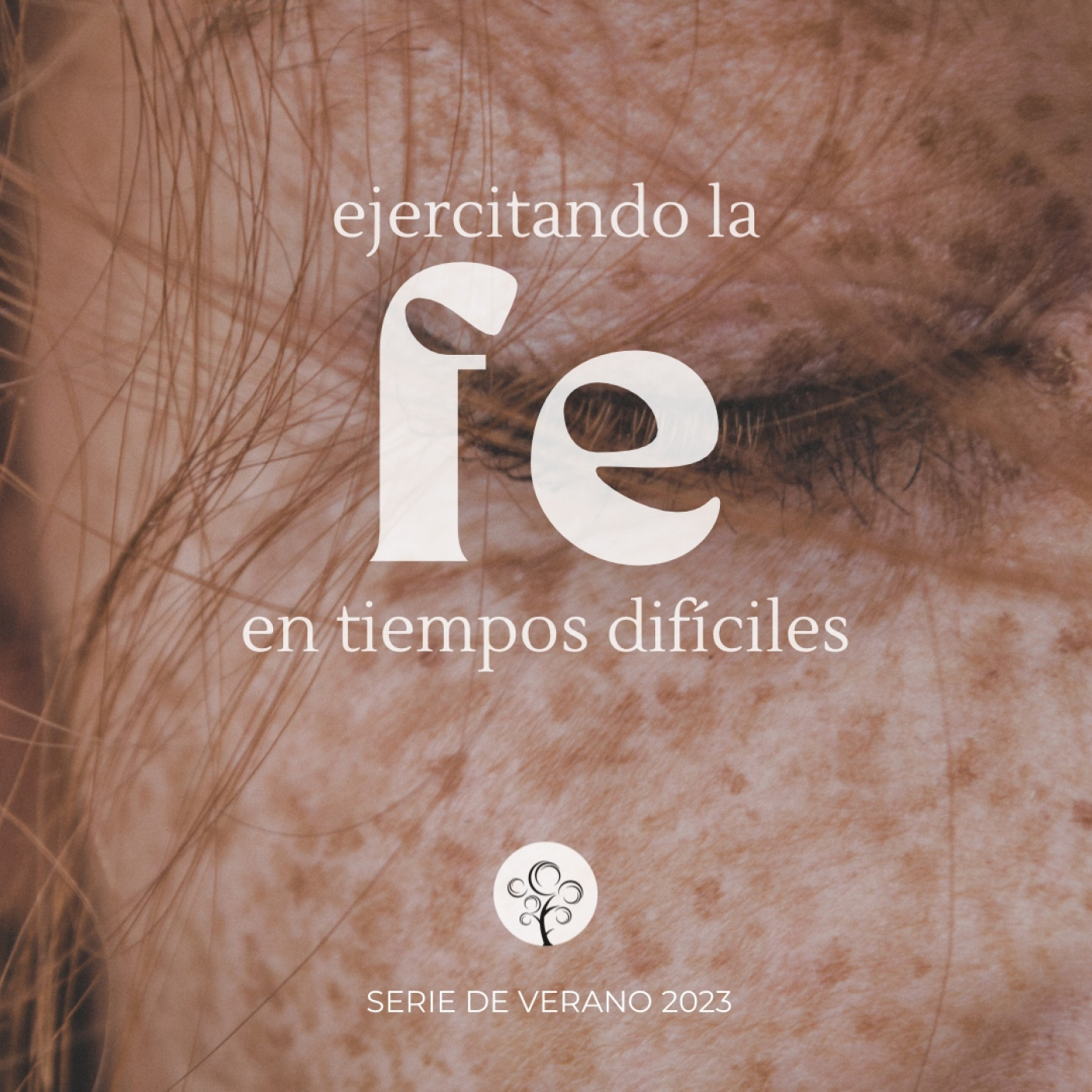 Parque Este - Reflexiones Bíblicas Prácticas