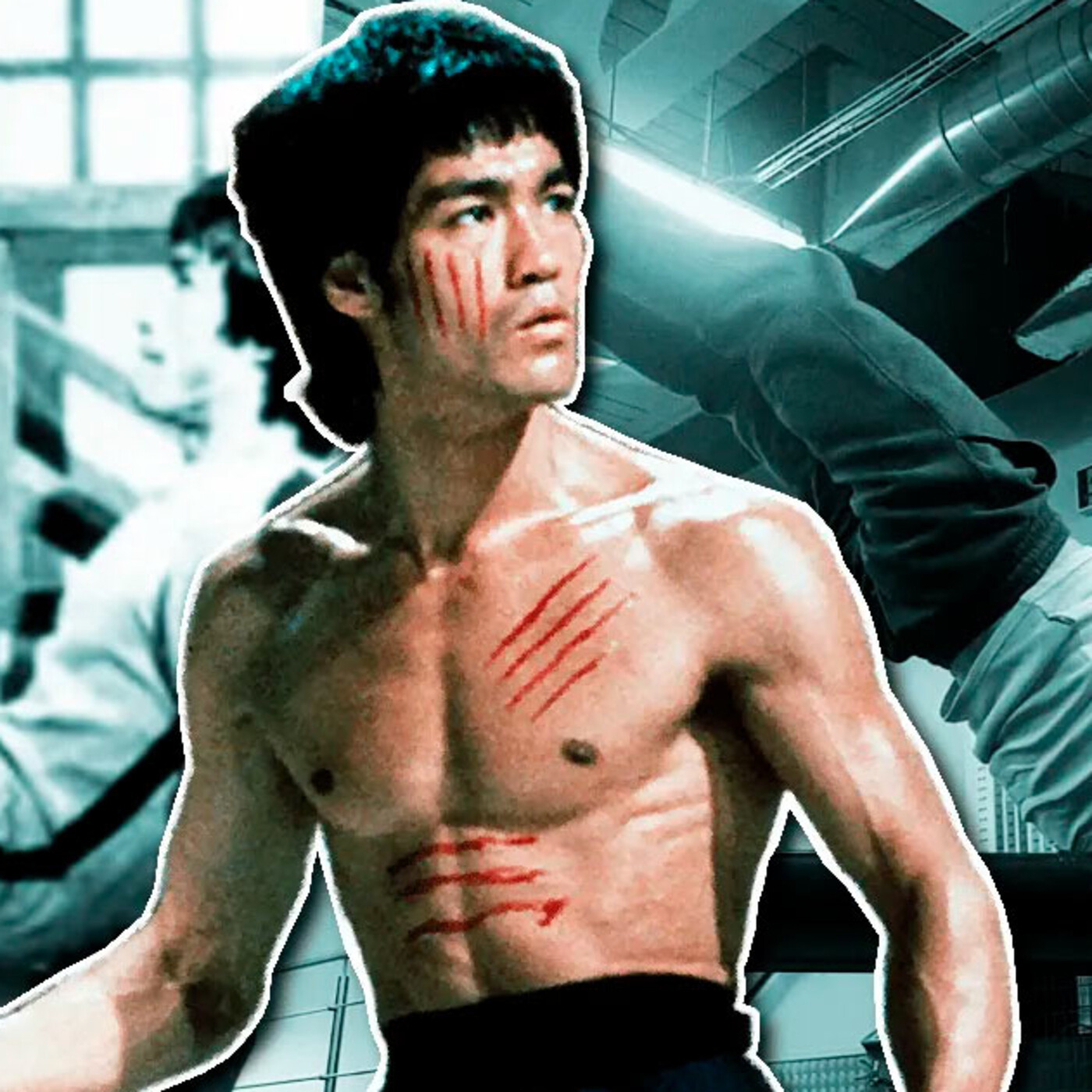 Dragonz | Artes Marciales y Deportes de Contacto