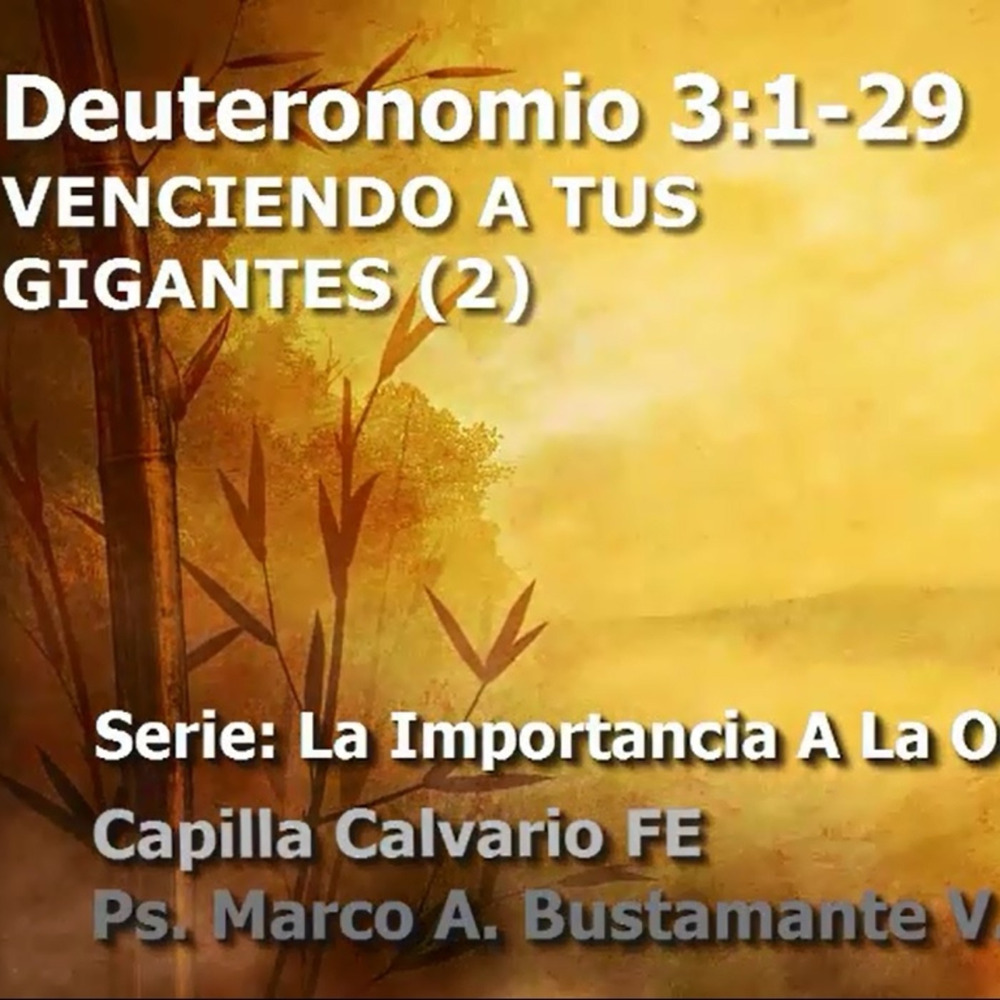 Deuteronomio - La importancia de la obediencia