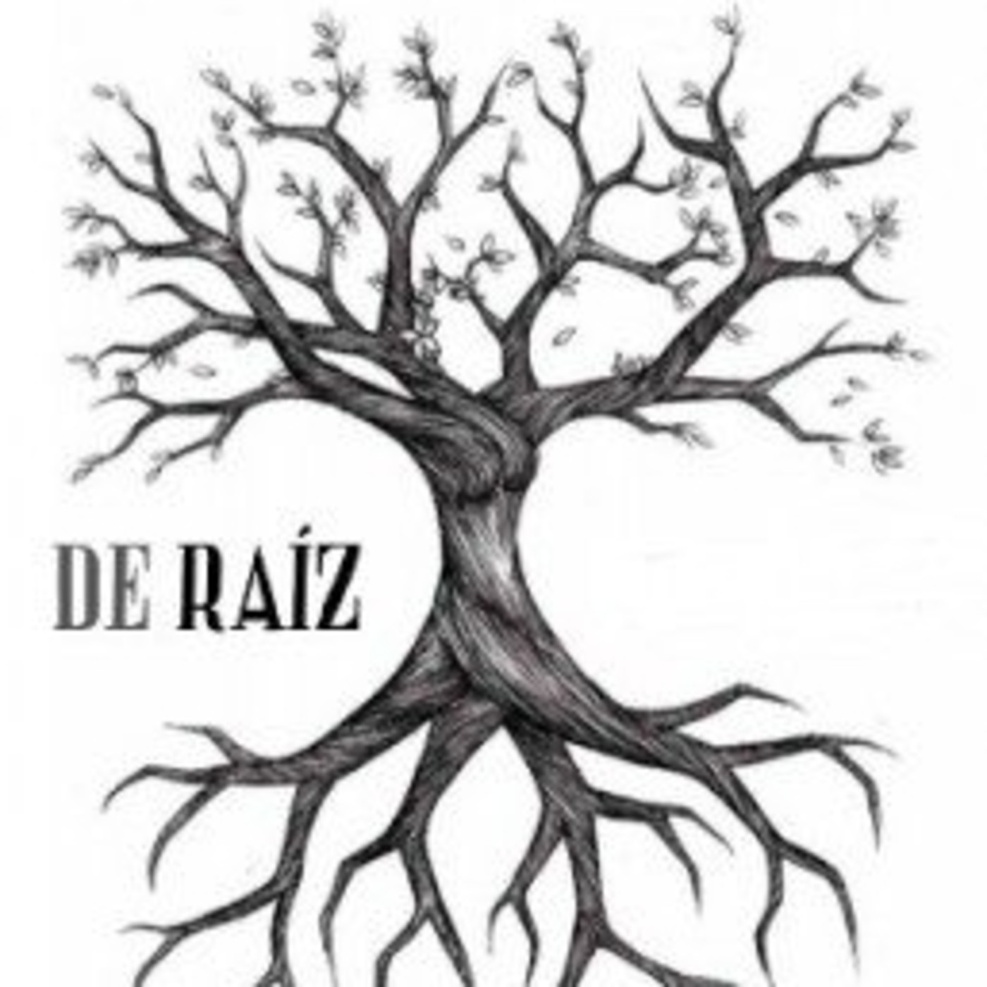 De Raíz Radio