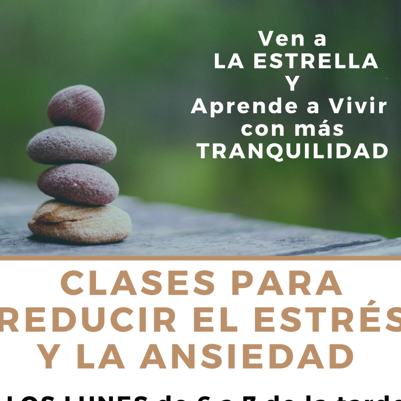 Mindfulness con Luz Navas Torres