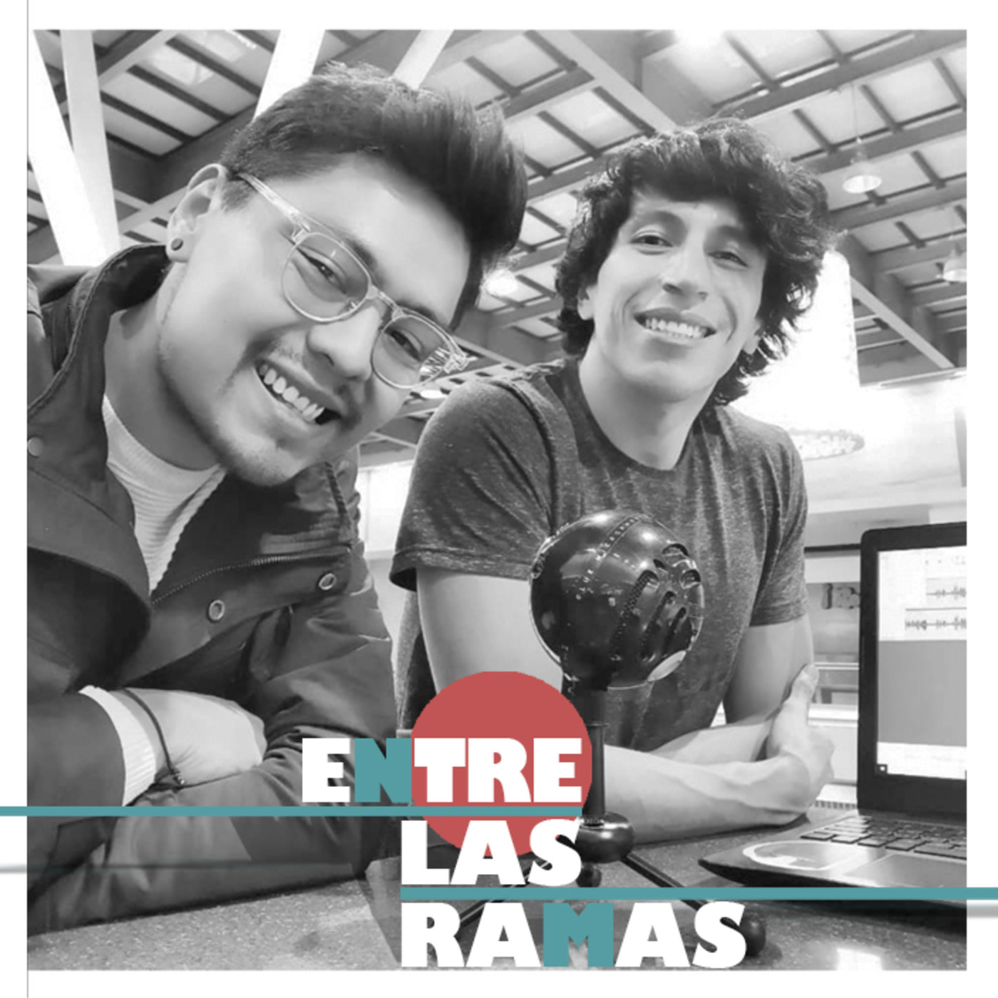 Entre las ramas