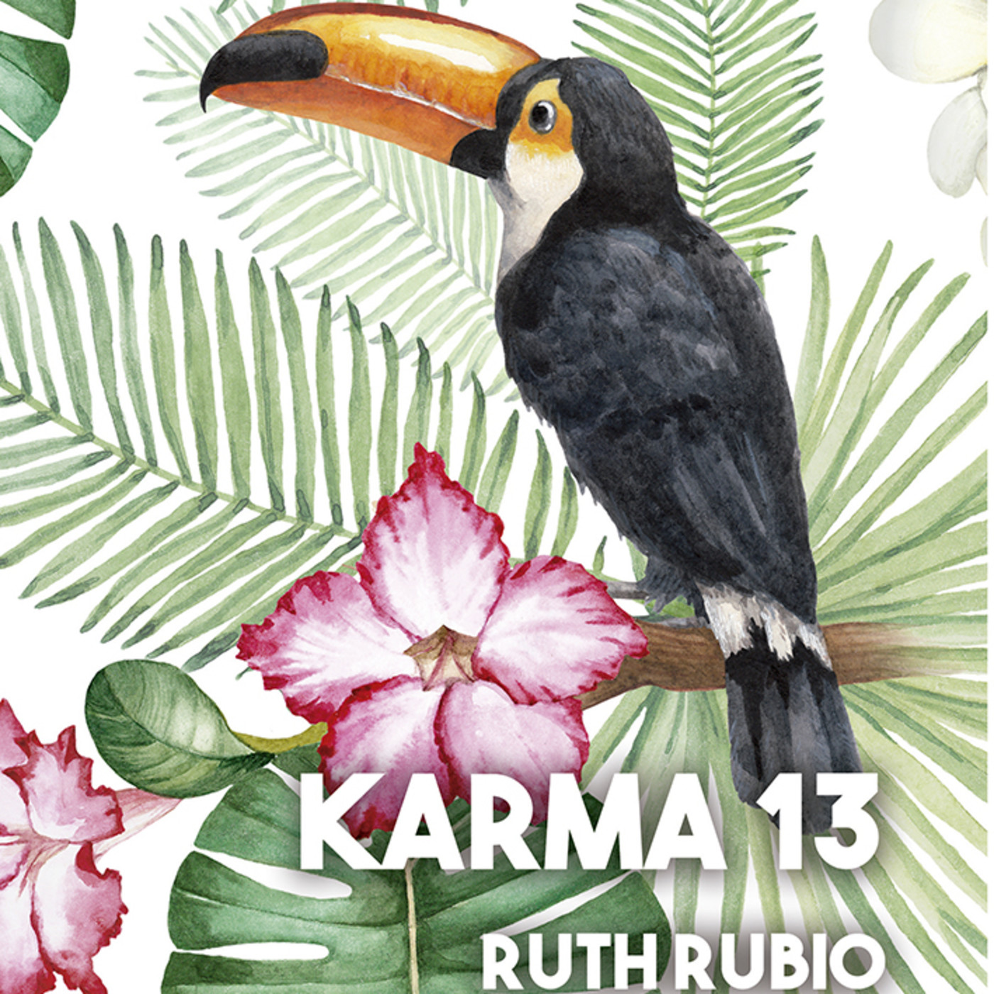 TE CUENTO MI HISTORIA: KARMA13