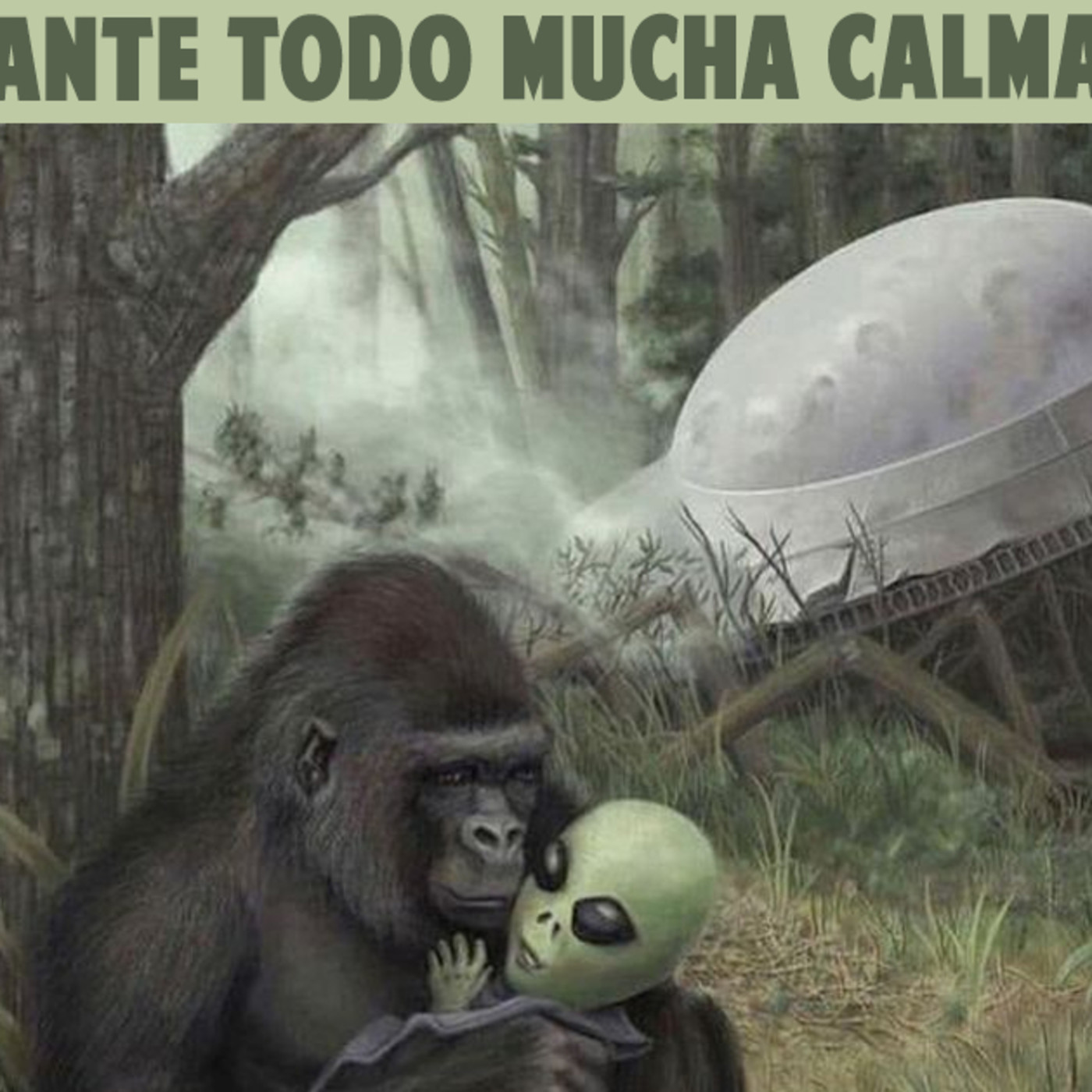 ANTE TODO MUCHA CALMA