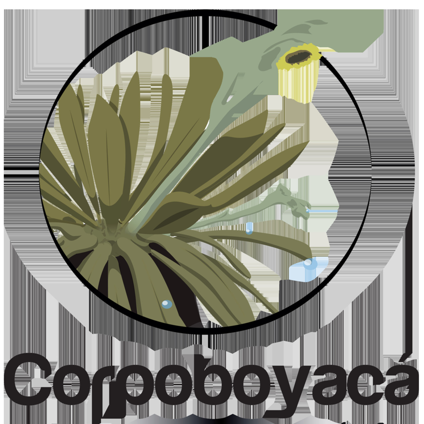 corpoboyaca