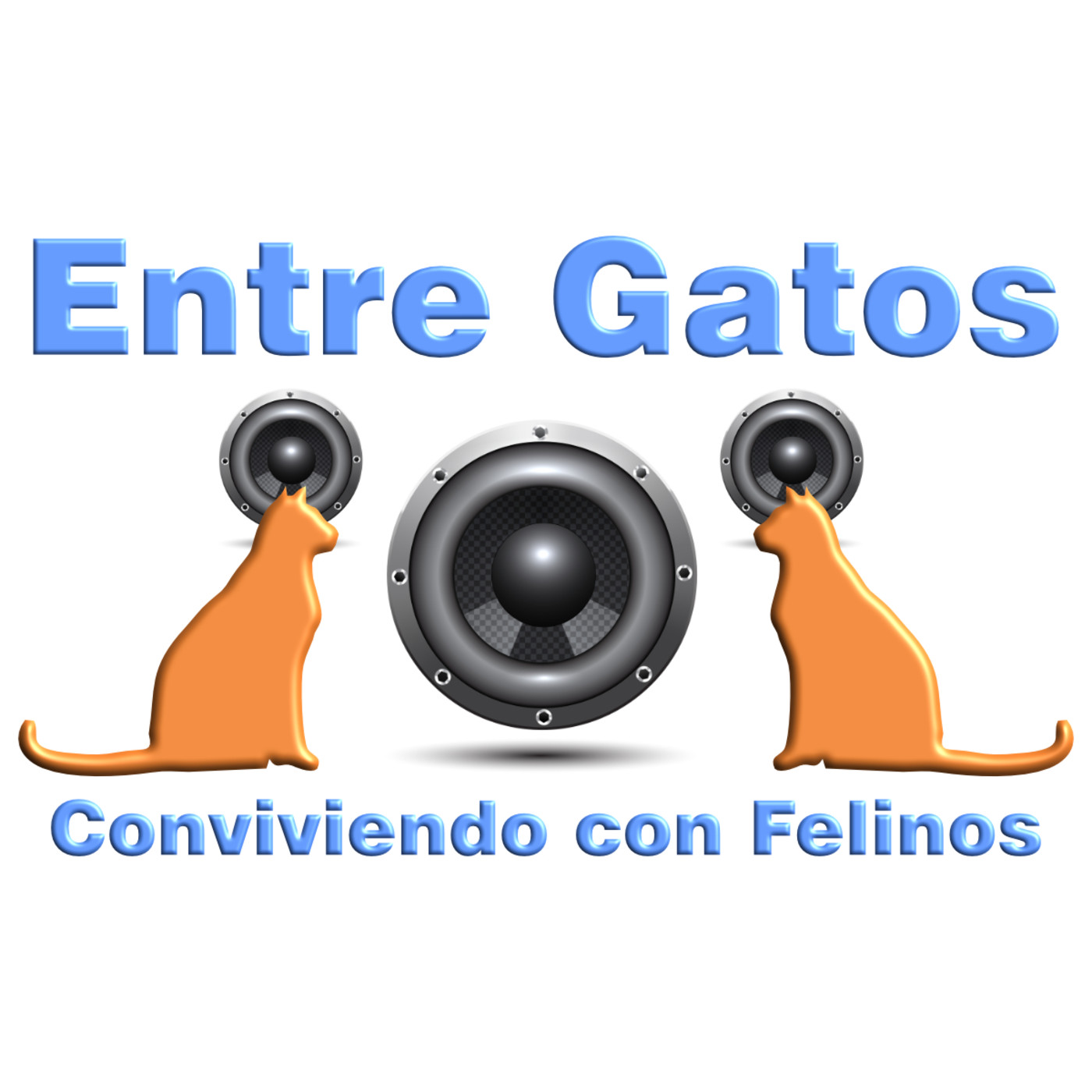 Entre Gatos, Conviviendo con Felinos