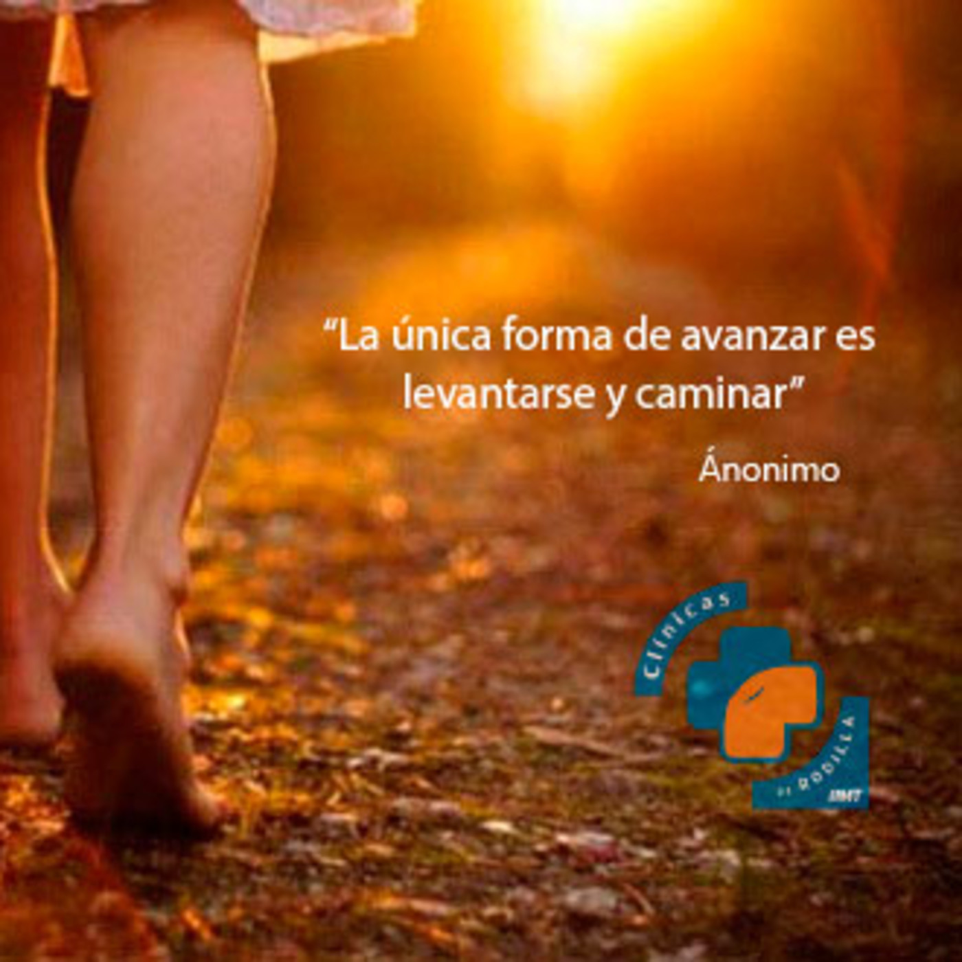 Clínicas de Rodilla BMT