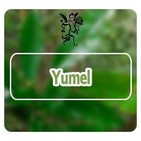 El Angel de tu Salud - YUMEL****