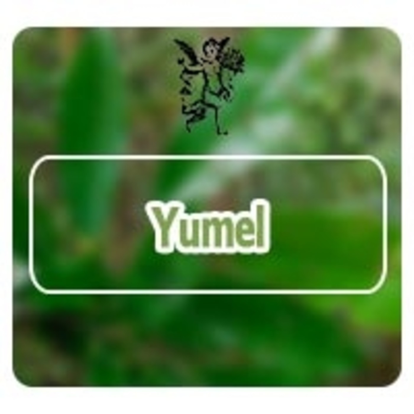 El Angel de tu Salud - YUMEL**** episode artwork