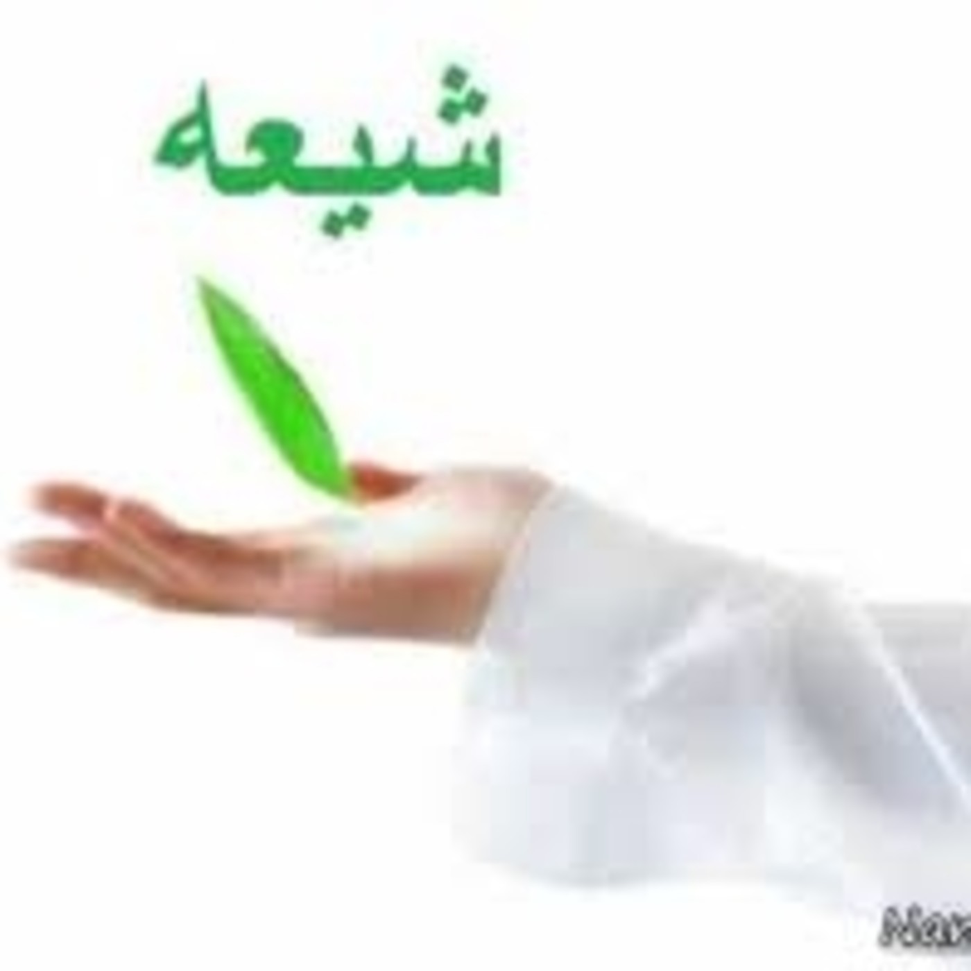 sheij kashani