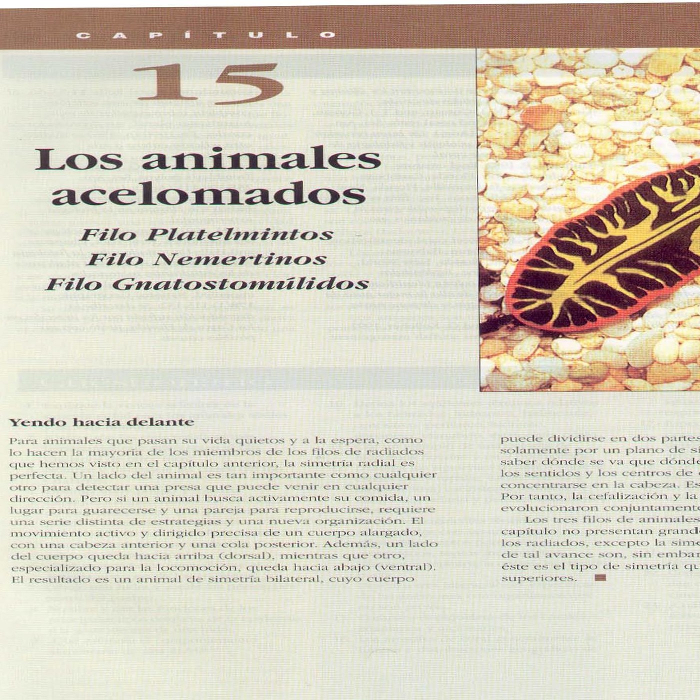 jpgm audios de fa me fisio