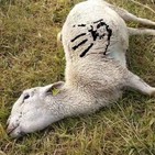 Voces del Misterio ESPECIAL: Extremadura insólita (13) / Milagro en Tentudía,la Mano Oro,Fantasmas N-V,Monasterio Yuste