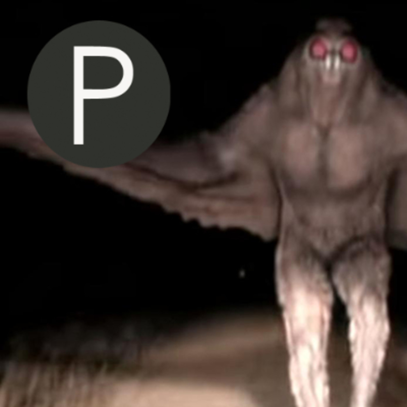 ALEXCOMUNICATV- canal oficial