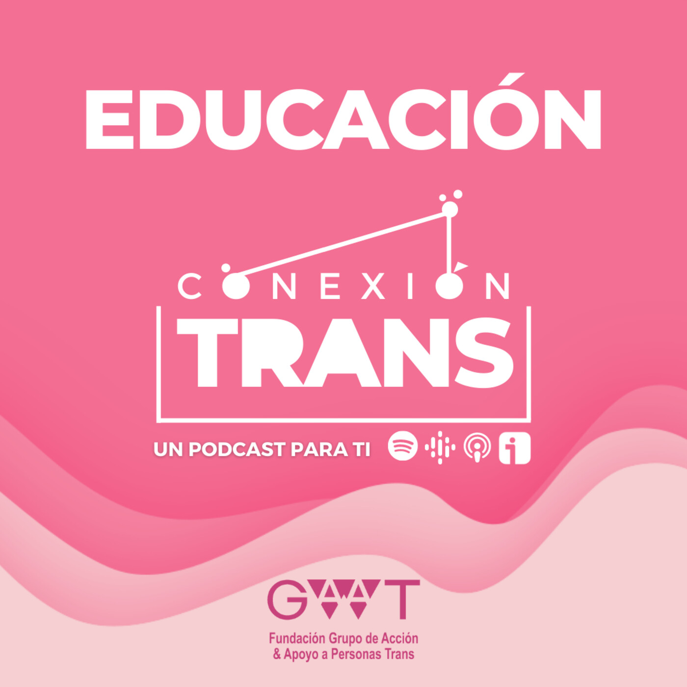 Conexión Trans, derecho a la educación