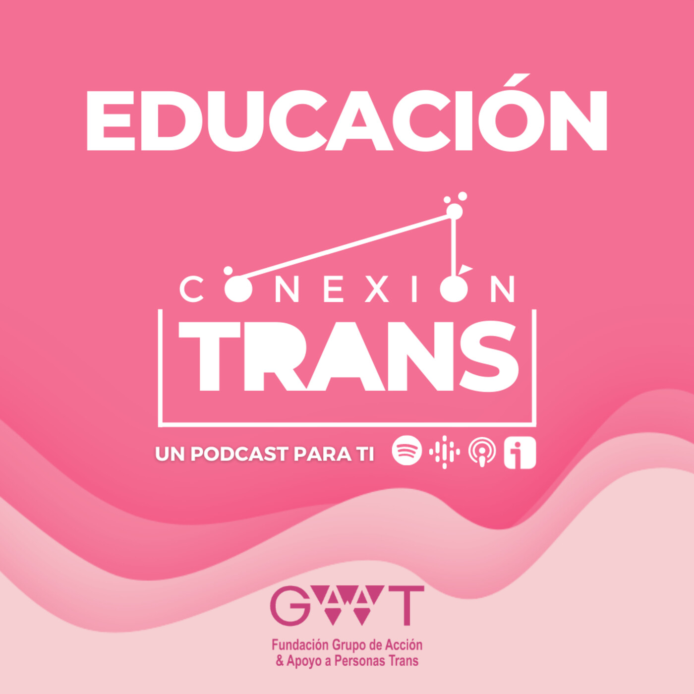 | Conexión Trans |