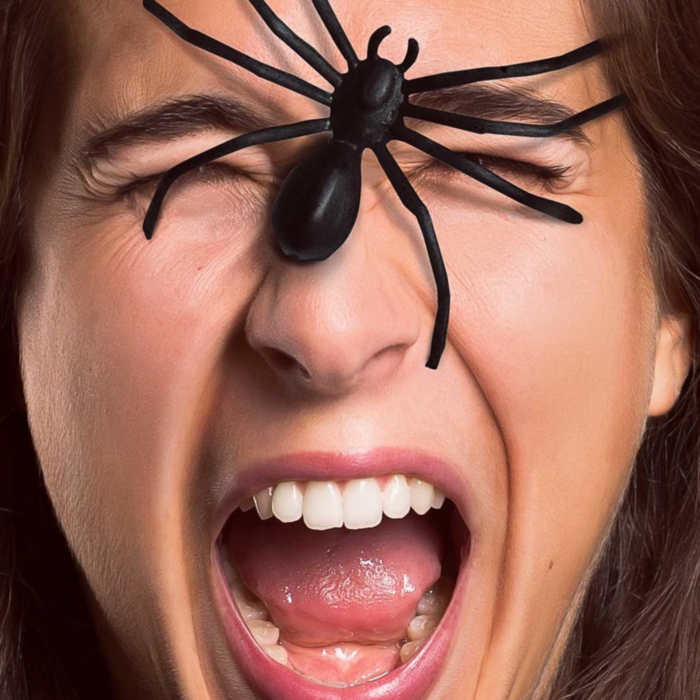 Podcast SINRUIDO.Net